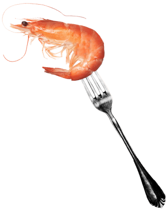 Ein Shrimp auf einer Gabel